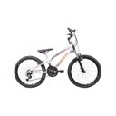 Ver mais imagens de Bicicleta A24 Dragon Fire 21v com Suspensão Dianteira TK3 Track