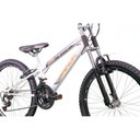 Ver imagem 4 de Bicicleta A24 Dragon Fire 21v com Suspensão Dianteira TK3 Track