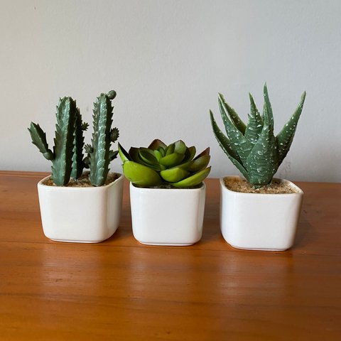 Kit 3 Suculentas Artificiais + Vasos Arranjos Vasinhos Branco Decore Fácil Shop