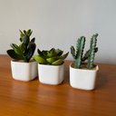 Ver imagem 3 de Kit 3 Suculentas Artificiais + Vasos Arranjos Vasinhos Branco Decore Fácil Shop