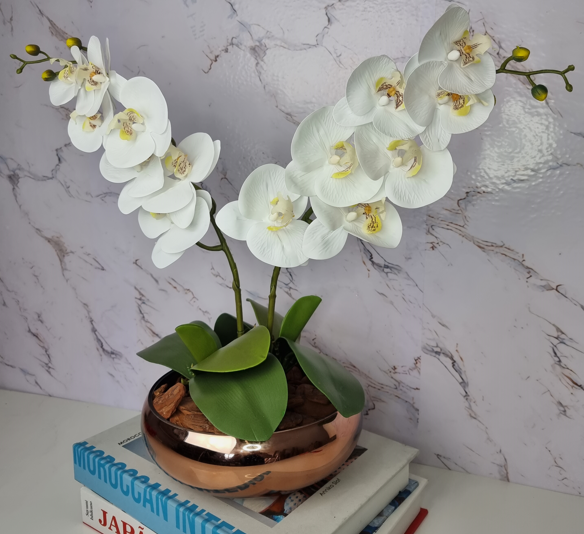 Arranjo Com 2 Orquídeas Branca Vaso Cobre 22cm