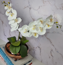 Ver imagem 2 de Arranjo Com 2 Orquídeas Branca Vaso Cobre 22cm