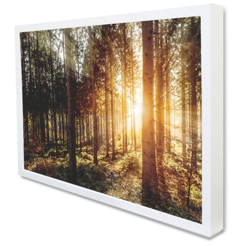 Quadro Decorativo Caixa A Natureza na Luz do Sol  TaColado Moldura Caixa 3cm Madeira sem Vidro 30 x 