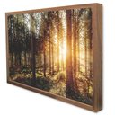 Ver imagem 3 de Quadro Decorativo Caixa A Natureza na Luz do Sol TaColado Moldura Caixa 3cm Madeira sem Vidro 30 x