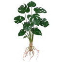 Ver imagem 1 de Planta Árvore Artificial Costela de Adão Toque C/raiz Verde 48cm