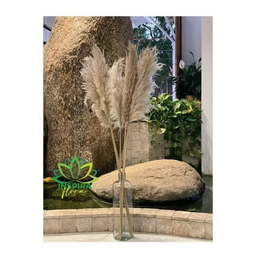 Vaso Garrafa de Vidro Pampas 48cm Importado Decoração Luxo - 3