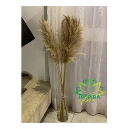 Vaso Garrafa de Vidro Pampas 48cm Importado Decoração Luxo - 4