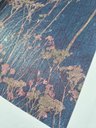 Ver imagem 2 de Papel de Parede Vinilico Refugio Larissa Folhagens Azul/Rosa 4522
