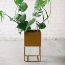 Ver imagem 3 de Cachepot para Plantas - 22x22x40 - Vinho