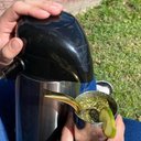 Ver imagem 6 de Bomba de Chimarrão 19cm Bojo Pera Mil Furos Bocal Dourado Mate Tererê