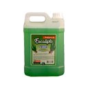 Ver imagem 1 de Essência Eucalipto Aromatizante Concentrado Para Sauna 5L Borlen 71-BIQ