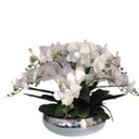Ver imagem 1 de Arranjo Grande 6 Flores Orquídeas Real Brancas Vaso Prateado