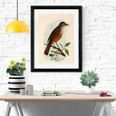 Ver imagem 1 de Quadro Decorativo Sabiá Laranjeira - 60x48cm:madeira Branca