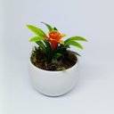Ver mais imagens de Kit 5 Vasos Decorativos Redondos com Hortênsias