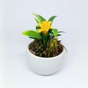 Ver imagem 7 de Kit 5 Vasos Decorativos Redondos com Hortênsias