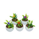 Ver imagem 1 de Kit 5 Vasos Decorativos Redondos com Hortênsias