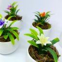 Ver imagem 6 de Kit 5 Vasos Decorativos Redondos com Hortênsias