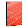 Quadro Decorativo Pista de Corrida com Moldura Filete - 4