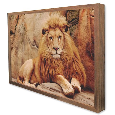 Quadro Decorativo Caixa Leão Tacolado Moldura Caixa 3cm Madeira sem Vidro 80 X 120cm