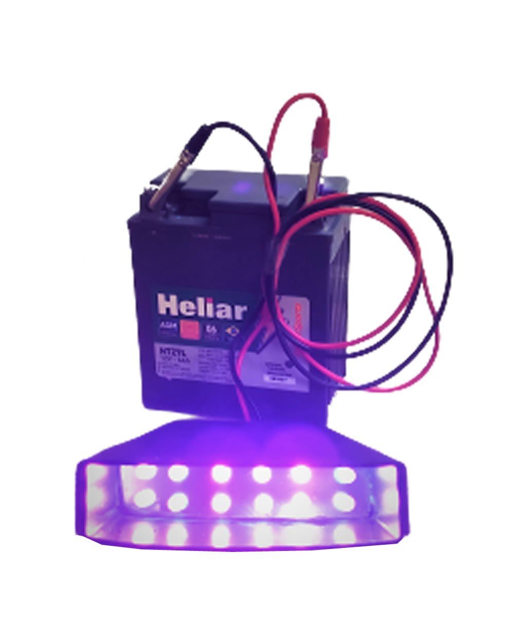 Lanterna Tilapeiro - 06 Leds - A bateria Bestfish - 4