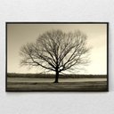 Ver imagem 2 de Quadro Decorativo Horizontal Arvore Galhos Secos Com Moldura e Sem Vidro 40X60