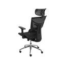 Ver imagem 3 de Cadeira Office Essen Alta Preta – Ergonomia NR17 + 5 Anos de Garantia