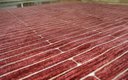 Ver imagem 2 de Tapete Marbella Nuance Miracle Bambu Rose 150x200 cm