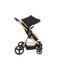 Ver imagem 4 de Carrinho de Bebê Ivy Gold - Galzerano