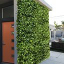 Ver mais imagens de 19 Tapetes de Folhagens Artificiais Premium para Parede 3D Jardim Vertical e Muro Verde Decorativo