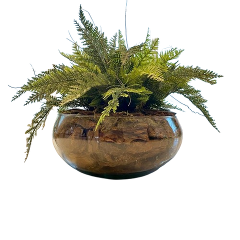 Arranjo Completo de Samambaia Centro de Mesa Grande Vaso de Vidro Decore Fácil Shop