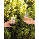 Ver imagem 2 de Kit com 6 Copos para Vinho "o" Riedel Cabernet Merlot 600ml