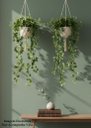 Ver imagem 5 de Kit 4 Pendente de Hera Trepadeira Artificial 100cm Decoração