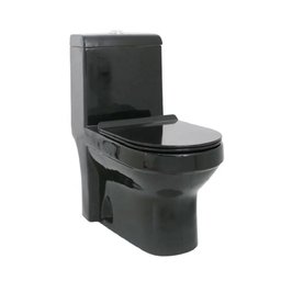 Vaso Sanitário Monobloco Prizi Cerâmica com Kit Completo e C - 1