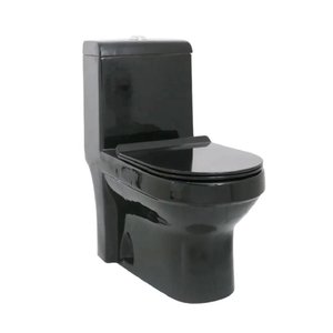 Vaso Sanitário Monobloco Prizi Cerâmica com Kit Completo e C