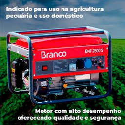 Gerador Portátil Branco B4t-2500 S 2200w Monofásico com Tecnologia Avr 110v/220v - 3