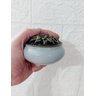 Incensario Turíbulo Metal Porcelana 10 Cm Defumador Cinza - 3