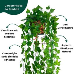 Kit Arranjo Folha de Hera + Vaso Trançado + 3 Suculentas - 3