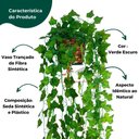 Ver imagem 3 de Kit Arranjo Folha de Hera + Vaso Trançado + 3 Suculentas