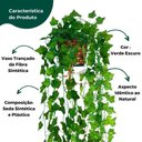Ver imagem 3 de Kit Arranjo Folha de Hera + Vaso Trançado + 3 Suculentas