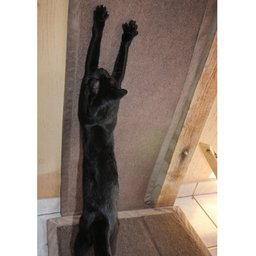 Tapete Escalador Arranhador para Gato Cinza Claro - 5