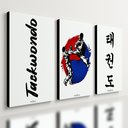 Ver imagem 1 de Kit 3 Quadro Decorativo Taekwondo Arte Marcial Sala Quarto 28x20cm
