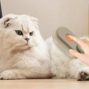 Ver imagem 3 de Escova a Vapor 3 em 1 para Pets - Limpeza, Massagem e Higienização para Cães e Gatos