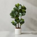 Ver imagem 5 de 1 Árvore Ficus Lyrata Artificial Premium Toque de Realismo e Sofisticação para Decoração em Ambiente
