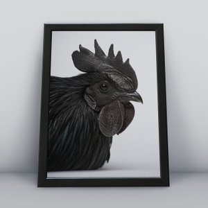 Quadros Decorativos Aves Decoração Sala Quarto Diversos:7