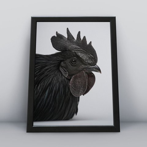 Quadros Decorativos Aves Decoração Sala Quarto Diversos:7