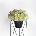 Ver imagem 3 de Kit de 20 Rosas Artificiais Brancas Realistas para Decoração Luxuosa