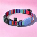 Ver imagem 1 de Coleira Ajustável para Cães Raios e Listras Violeta - M