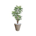 Ver imagem 1 de Planta Artificial Árvore Palmeira Phoenix 1,77m kit + Vaso Redondo D. Grafiato Bege 40cm