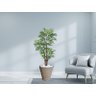 Planta Artificial Árvore Palmeira Phoenix 1,77m kit + Vaso Redondo D. Grafiato Bege 40cm - 2