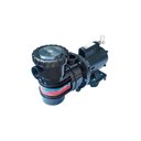 Ver imagem 1 de Motobomba Albacete App-3 110/220v 3/4cv com Pré Filtro